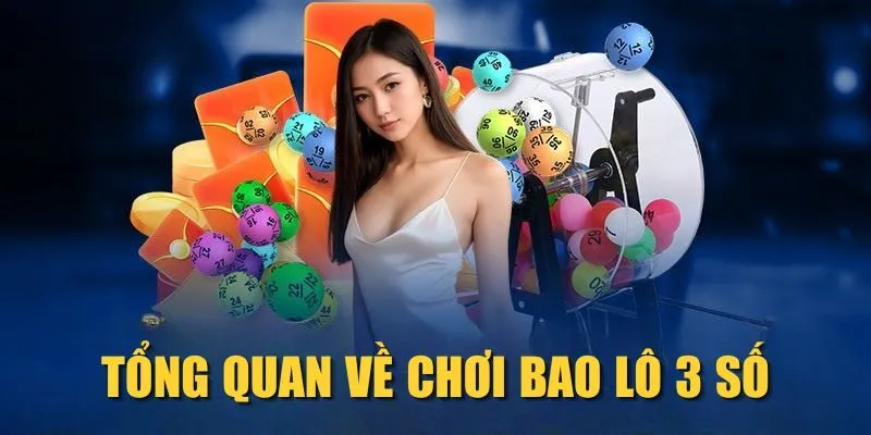 tong-quan-ve-choi-bao-lo-3-so